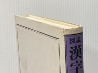 図説漢字の歴史 普及版 大修館書店 阿辻 哲次