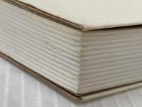 怪しい日本語研究室 毎日新聞出版 イアン アーシー