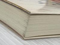 アメリカ経済の歴史: 1492-1993 東京大学出版会 秋元 英一