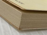 砂糖キビ畑のまれびと: 沖縄・与那国への旅 (ちくま文庫 た 8-1) 筑摩書房 立松 和平