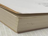 女敵討ち 取次屋栄三 (祥伝社文庫) 祥伝社 岡本さとる