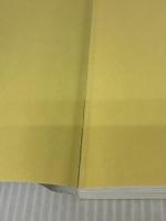 GoogleAppsScript実践プログラミング 秀和システム 航平, 今西