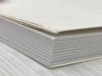 すぐやる!　「後回し」をやめる“科学的な"方法 ([バラエティ]) 文響社 菅原洋平