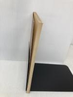 和泉式部日記 (影印校注古典叢書 (22)) 新典社 和泉式部