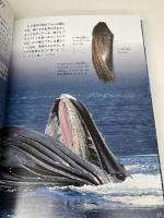 クジラ・イルカのなぞ99 偕成社 水口 博也