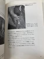 チャ-リ-・ア-プのシンプルゴルフ: グレッグ・ノ-マンのコ-チ ソニ-・ミュ-ジックソリュ-ションズ チャーリー アープ