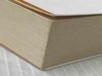 神曲 煉獄篇 (集英社文庫) 集英社 ダンテ・アリギエーリ