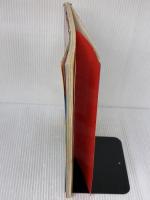 【※イタミ有り】大高輝美のコロコロ人形: てるみの宝もの 雄鶏社 大高 輝美