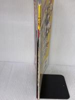 【※イタミ有り】ラーメンWalker東京&埼玉 2009 61802-30 (ウォーカームック 129) 角川マーケティング