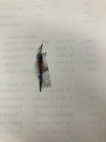 ソシュール 一般言語学講義: コンスタンタンのノート 東京大学出版会 フェルディナン・ド ソシュール