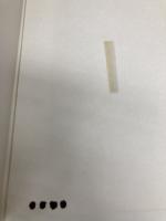 民法 5 第2版 親族・相続 (法律学双書) 蒼林社出版 甲斐 道太郎