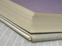 体験的地方分権: 自治大臣の263日 ぎょうせい 佐藤観樹