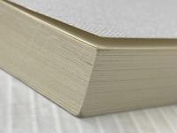 ※カバー無し 新装版 殺戮にいたる病 (講談社文庫 あ 54-14)