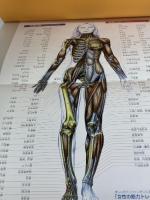 【※イタミ有り】美しいボディラインをつくる女性の筋力トレ-ニング解剖学 大修館書店 フレデリック ドラヴィエ