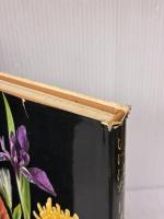 【※イタミ有り】いけばな日本の旅 (1971年)