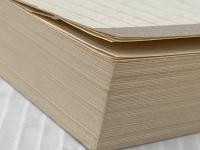 ※カバー無し 善悪の彼岸 (光文社古典新訳文庫 Bニ 1-1) 光文社 フリードリヒ ニーチェ