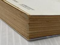 ※イタミ有 揺れる視界 (ケイブンシャ文庫 さ 2-3) 勁文社 笹沢 左保