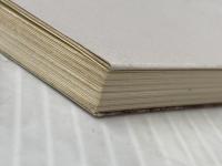 ※イタミ有 天文方と陰陽道(おんみょうどう) (日本史リブレット 46) 山川出版社 林 淳