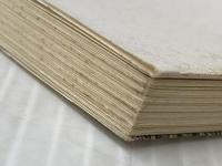 ※イタミ有 近世の三大改革 (日本史リブレット 48) 山川出版社 藤田 覚