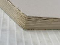 ※イタミ有 八州廻りと博徒 (日本史リブレット 49) 山川出版社 落合 延孝