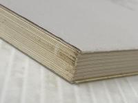 ※イタミ有 荘園絵図が語る古代・中世 (日本史リブレット 76) 山川出版社 藤田 裕嗣