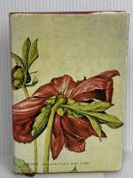 文章教室 ベネッセコーポレーション 金井 美恵子