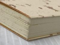 ※イタミ有 近世日本の歴史 放送大学教育振興会 高木 昭作