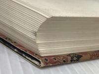 ※イタミ有 私小説from left to right: 日本近代文学 新潮社 水村 美苗