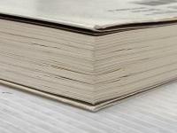 ※イタミ有 茶色のシマウマ、世界を変える―――日本初の全寮制インターナショナル高校ISAKをつくった 小林りんの物語 ダイヤモンド社 石川 拓治