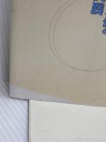 企業倫理綱領の制定と実践: 日米企業のケース・スタディによる 産業能率大学出版部 高橋 浩夫