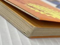 ※イタミ有 ポートピア連続殺人事件完全攻略本: ファミリーコンピュータ 徳間書店 ファミリーコンピュータMagazine編