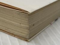 ※イタミ有 死にぞこないの街 (徳間文庫 106-15) 徳間書店 生島 治郎