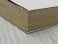 ※イタミ有 ガープス・妖魔夜行妖怪伝奇 (角川スニーカー・G文庫 882-2) KADOKAWA 山本 弘