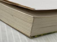 ※イタミ有 少年と犬 (文春文庫) 文藝春秋 馳 星周