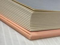 だって有名になりたいもん (のびのび人生論 32) ポプラ社 青島 美幸