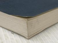 ※イタミ有 チャイナ・クライシス重要文献 第2巻 (蒼蒼スペシャル・ブックレット No. 21) 蒼蒼社 矢吹 晋