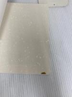 ホンネの子育て/櫛田磐/CS成長センター  櫛田磐