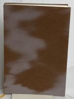 【※カバー無し】光のとこにいてね 文藝春秋 一穂 ミチ