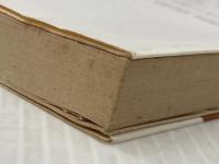 ※イタミ有 ふくろうの叫び (河出文庫 543B) 河出書房新社 パトリシア ハイスミス