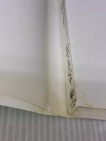 【※イタミ有り】病気は才能 かんき出版 おのころ　心平