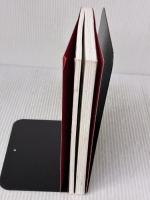 【※カバー無し・書き込み有り】できないことがなくなる技術 中経出版 大雅, 石川