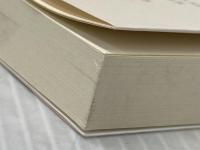 詳しい予感 白昼社 泉 由良