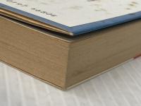 ※イタミ有 ルー・サンクション (河出文庫) 河出書房新社 トレヴェニアン