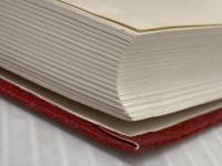 ※イタミ有 中医診断学 燎原書店 松本克彦訳