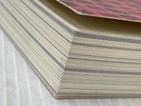 ※カバー無し 一億人の英文法 ――すべての日本人に贈る「話すため」の英文法（東進ブックス） ナガセ 大西 泰斗