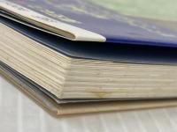 ※イタミ有 パチプロ軍団「梁山泊」の必勝法: 13機種完全打法!! ブックマン社 浜田 文太