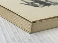 ※イタミ有 水蜘蛛 (白水Uブックス 86 小説のシュルレアリスム) 白水社 マルセル ベアリュ