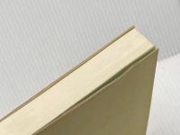 ダンスの原典 e本の本 飯田 茂実