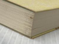 ダンスの原典 e本の本 飯田 茂実