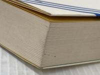 マンハッタン式家族あわせ (1983年) 河出書房新社 ノーマ・クライン